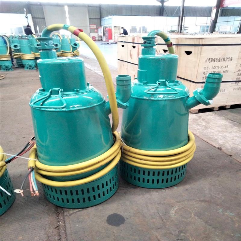 BQS礦用隔爆型排污排沙潛水電泵礦山搶險排水泵三相電機IP*8防爆
