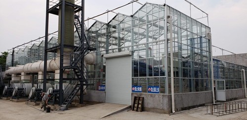 太陽能污泥干化發(fā)電系統(tǒng)