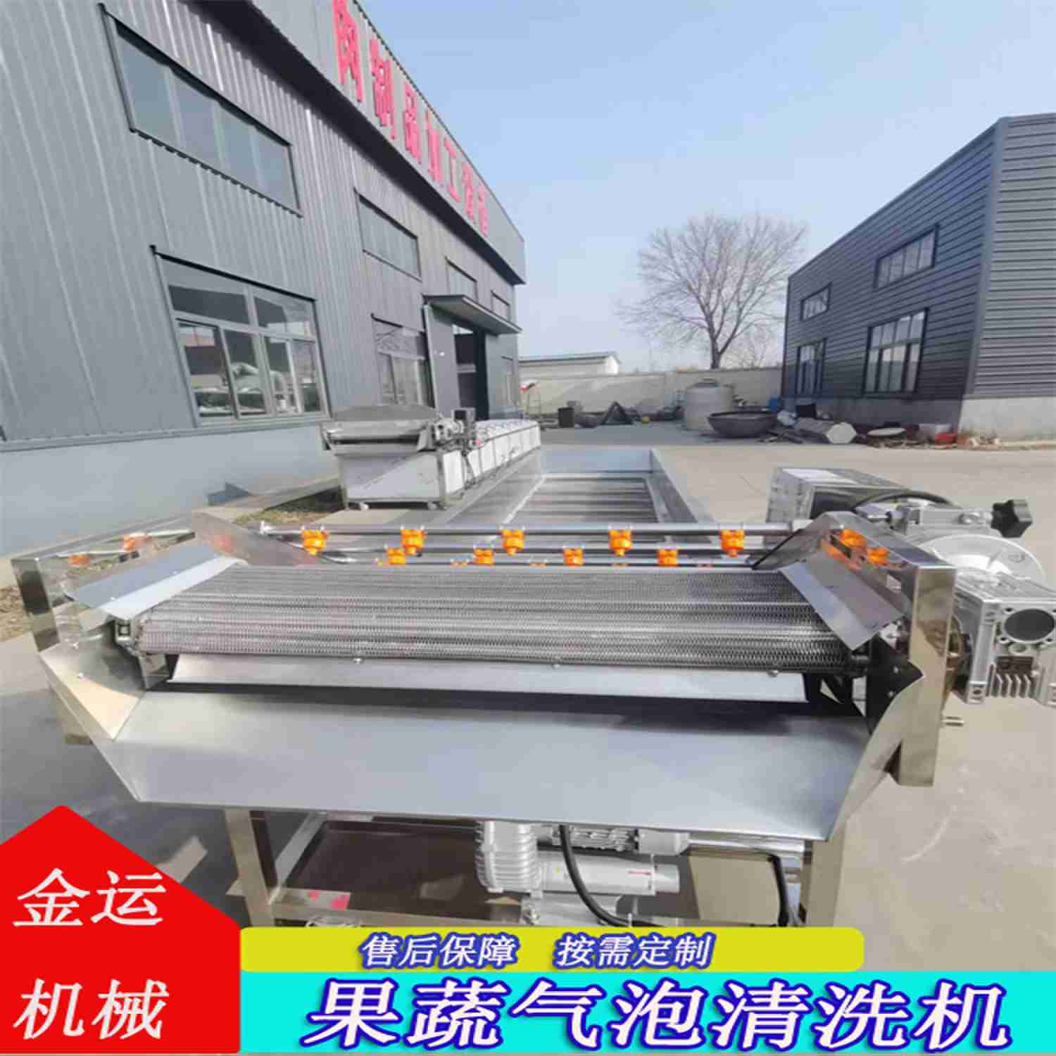 桑葚李子圣女果氣泡清洗機 山野菜口蘑清洗設備